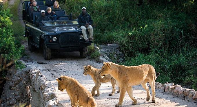 item0 size lion sands sabi sand kruger nat l park kruger nat l park south africa 108016 2