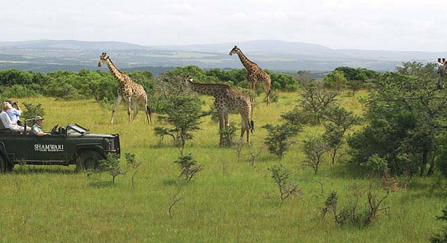 980x353 kruger park tours