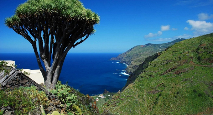 LaPalma DragoCostaNorte SaúlSantos