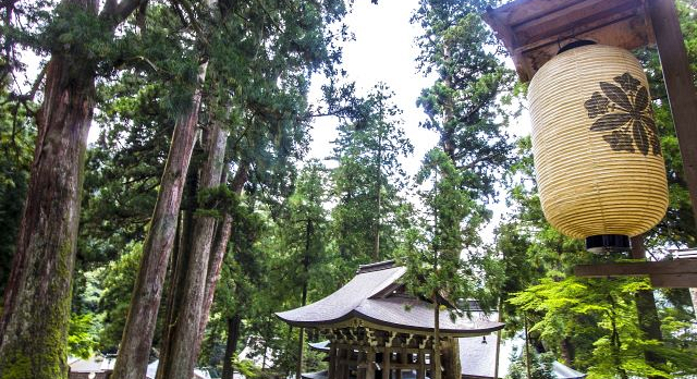 prefettura di fukui   eihieji   padiglione nella foresta. ph. elena bianco
