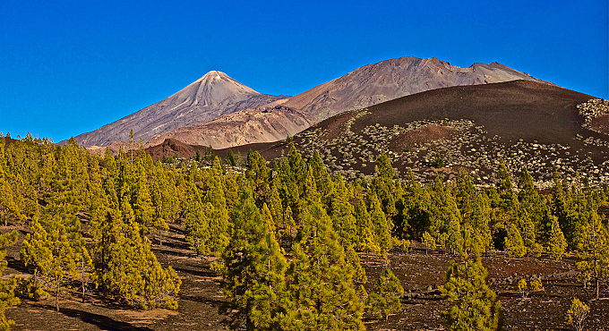 tenerife 08