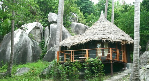haadtien1