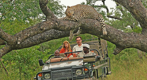 kruger park safari tab