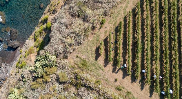 capofaro tra vigneti e mare